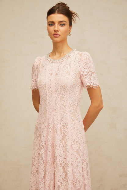 Dulcie pink embellished floral-lace midi dress