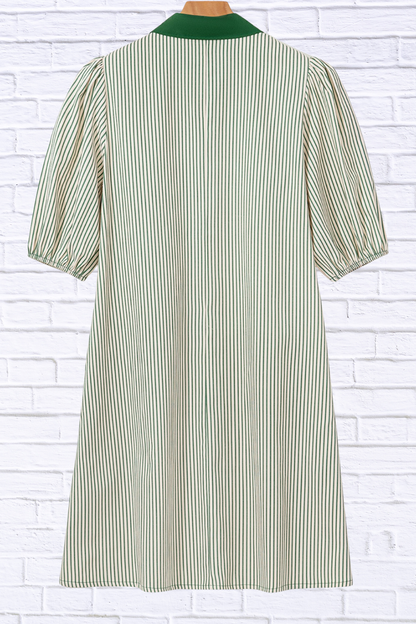 Stripe Color Block Patchwork Shirt Collar Button Down Puff Sleeve Mini Dress