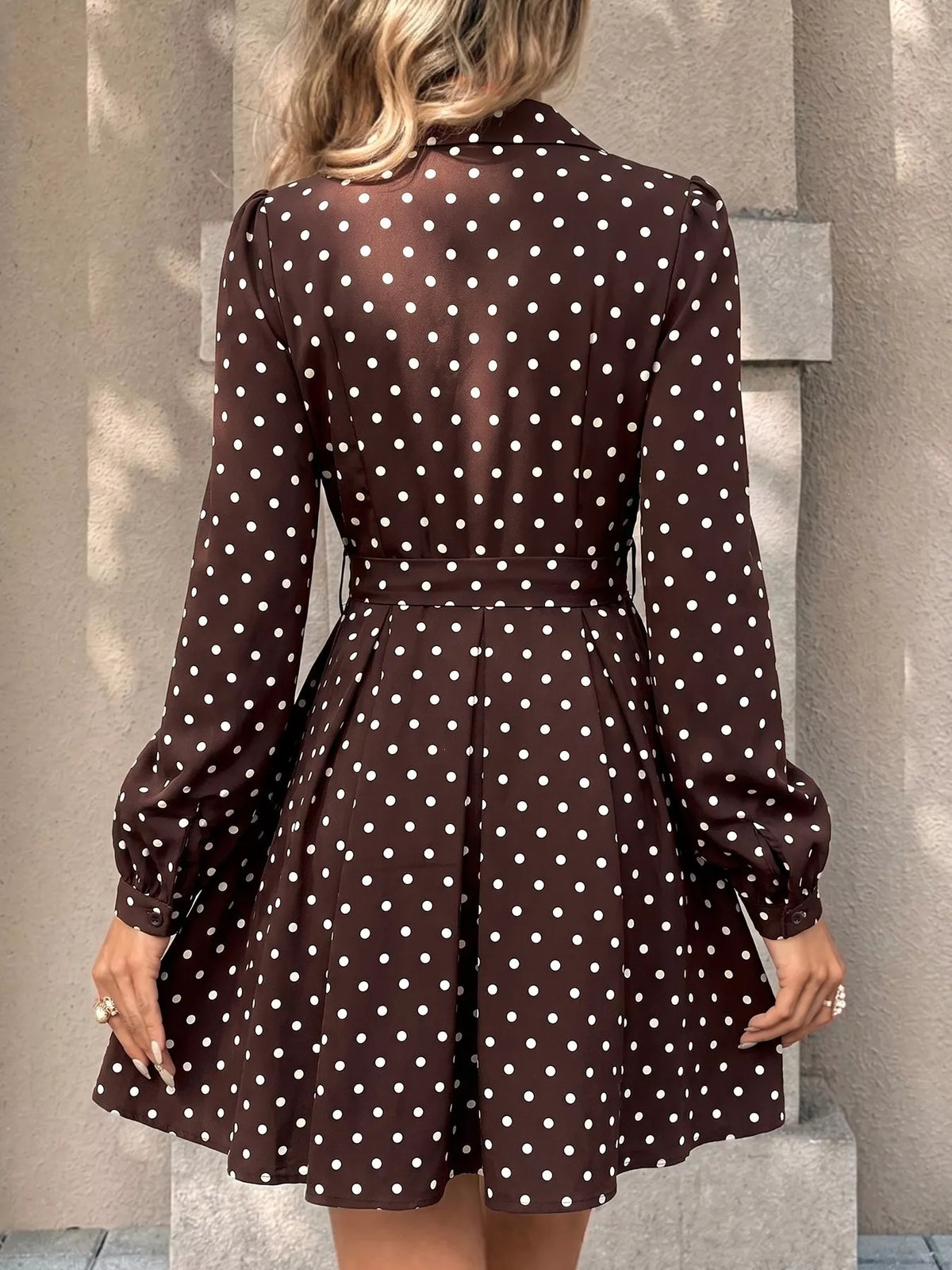 Hedvika's Polka Dot Long Sleeve Shirt Dress