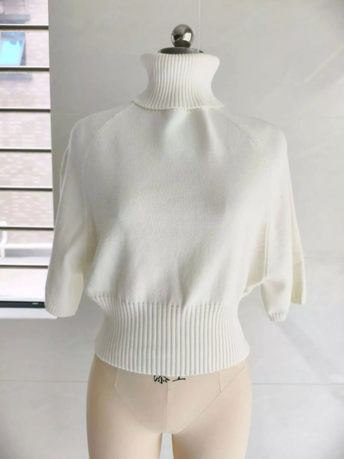 Turtleneck Batwing Sleeve Sweater