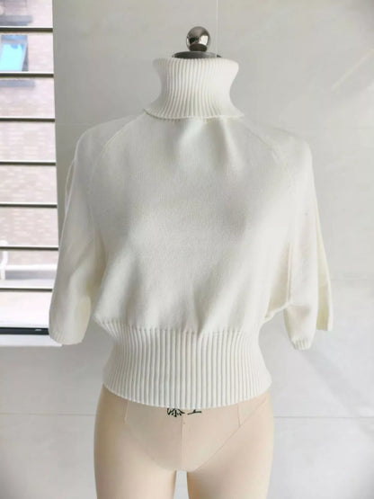 Turtleneck Batwing Sleeve Sweater