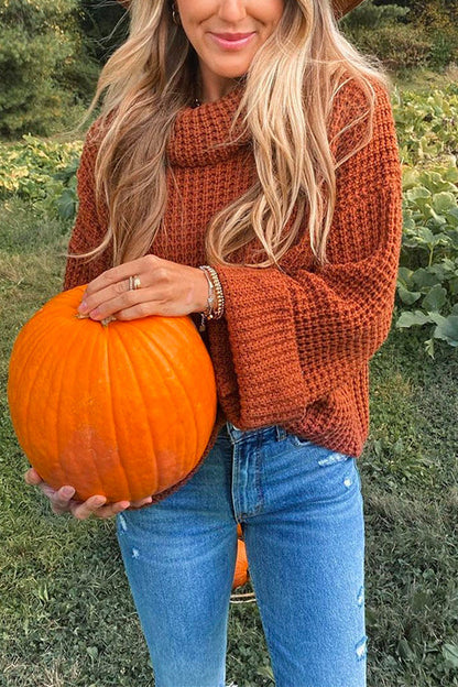 Turtleneck Chunky Knit Cozy Sweater Camel