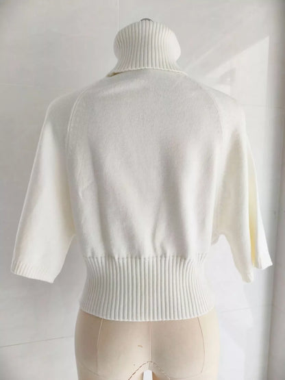 Turtleneck Batwing Sleeve Sweater