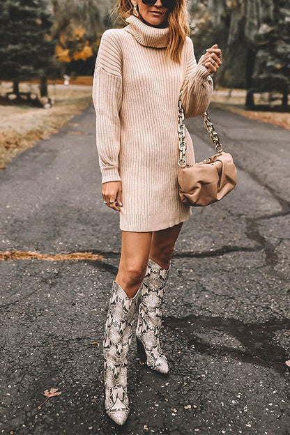 Turtleneck Long Sleeves Ribbed Knit Sweater Dress(in 7 Colors!)