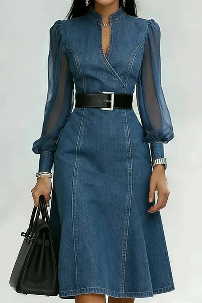 Vireya Denim Dress