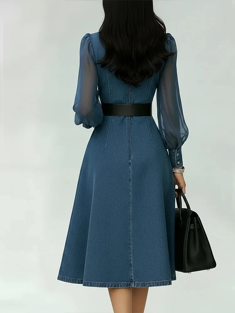 Vireya Denim Dress