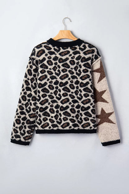 Leopard Star Pattern Round Neck Long Sleeve Shift Sweater