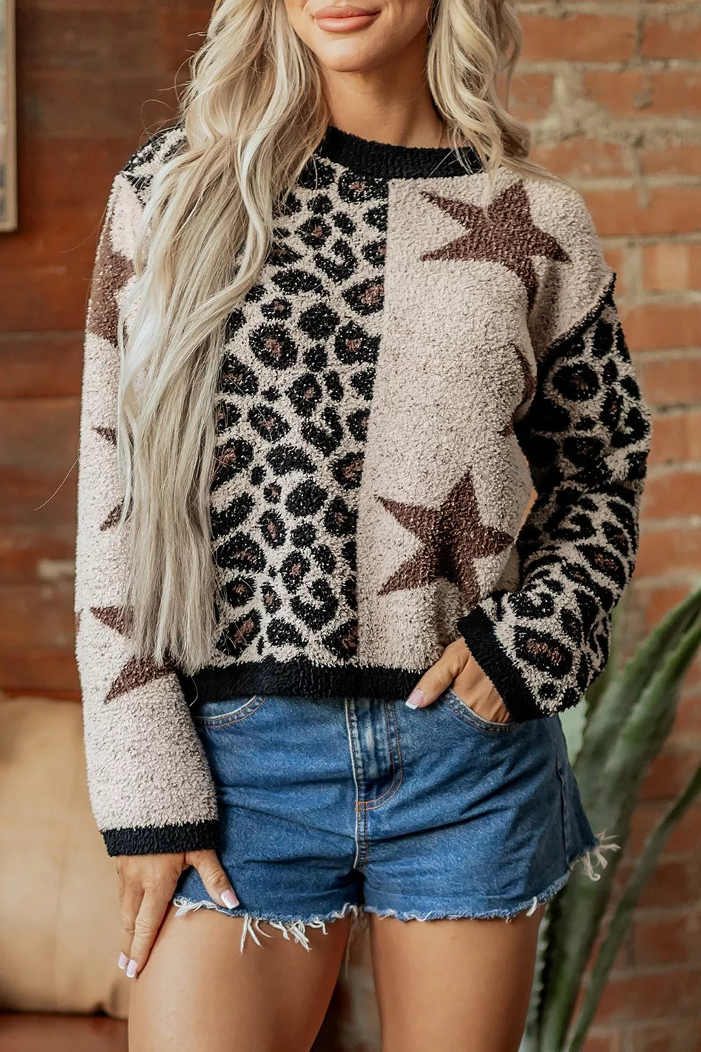Leopard Star Pattern Round Neck Long Sleeve Shift Sweater